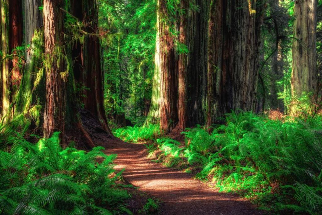 Cedar Mountain Suite D Grants Pass Zewnętrze zdjęcie